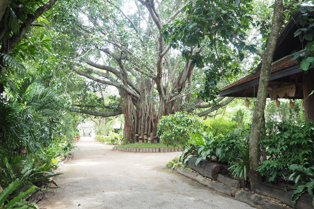 Khum Khun Wang Resort Mae Wang Ngoại thất bức ảnh